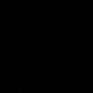 Meet your Posher, Darnesha